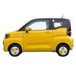 China New Energy Vehicles Pure 4 Wheel Used Cars Adult Chery QQ Mini EV Electric