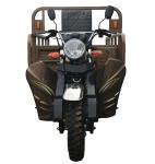 65km/H Gasoline Tricycle
