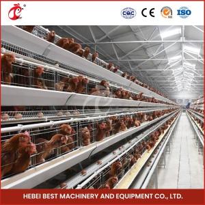 Quality Cage Mesh H Type Broiler Chicken Cage With Ventilation For Healthy Birds Sandy wholesale