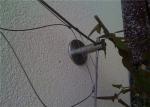 Climber Plant Trellis 1.5mm Flexible Stainless Steel Cable Mesh Metal For Green