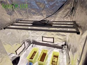China 320W Quantum Bar Osram 660NM Fluence LED Grow Light on sale