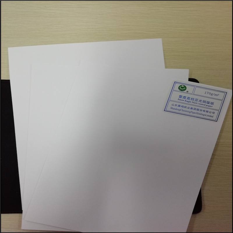 Offset Printing Compatible Chemical-Mechanical Pulp Art Paper Snow Eagle and Durable