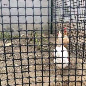 Quality PP Biaxial Geogrid for Farm Fencing Onsite Inspection and Performance Guaranteed wholesale