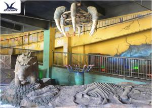 Quality Indoor Museum Life Size Dinosaur Replicas , Sunproof Dinosaur Skeleton Replica wholesale