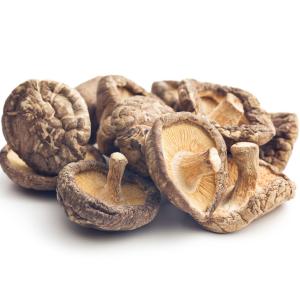 Quality Dried Mushroom Stems Shiitake Mushroom For Cooking And Health wholesale