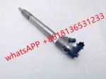 New Diesel Fuel Injector 0445110 376 Diesel Pump Injection 0445110376 5285744