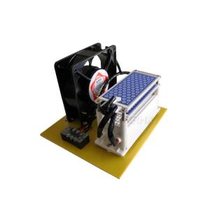 Quality Portable 10g Ozonizer with Integrated Plate and Fan For Ozone Generator wholesale