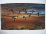 Printed Door Mats,Rubber door mat,Printed rubber mat