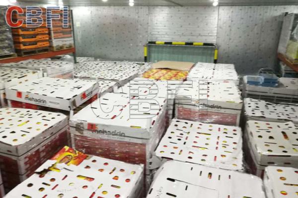 Low Temperature Big Cold Room Project Cheese Frozen Food Storage Cold Room