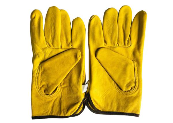 Beekeeping Equipment Hand Protect Sheepskin White or Yellow Beekeeping Gloves