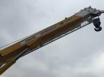Used Tadano crane 30T for sale