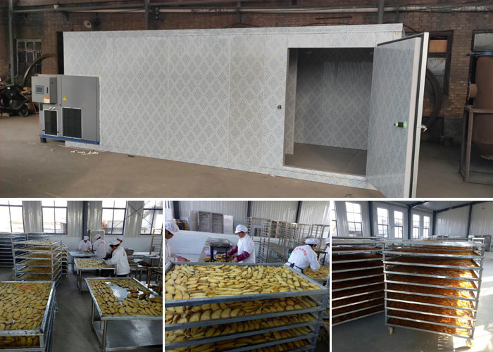 5.2kw Fruit And Vegetable Dehydration Machine For Garlic Powder
