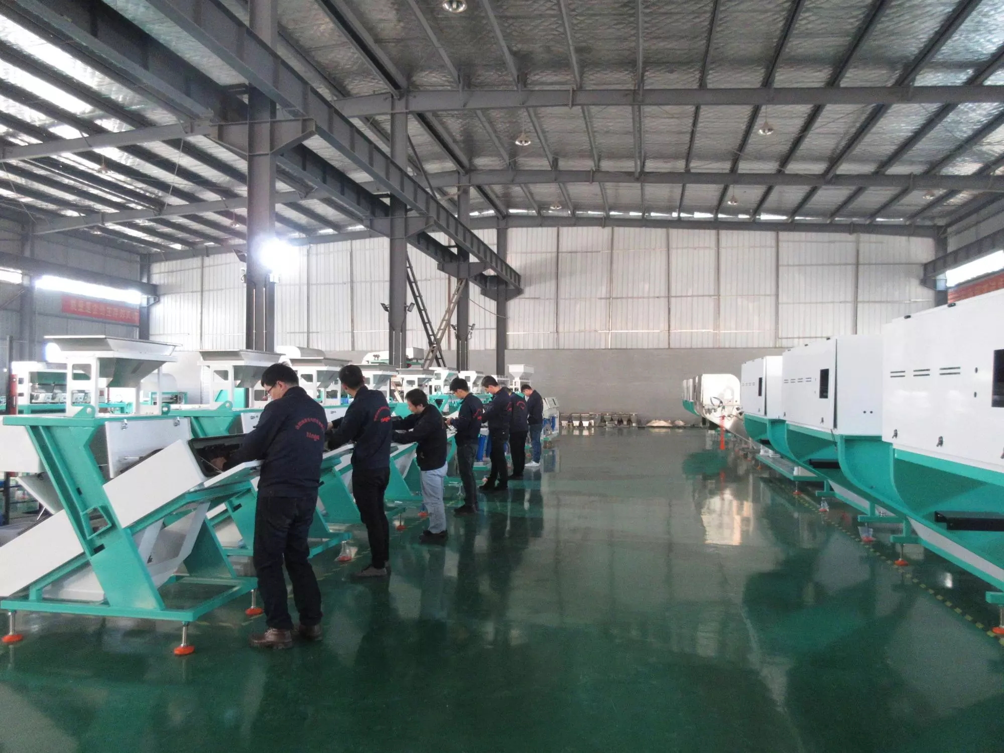 Mini Cashew Nut Sorting Machine For Cashew Nut Processing Industry