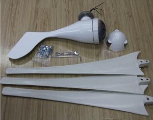 Quality TGWT-200S 200W 12V/24V wind turbine Three phase permanent magnet AC synchronous generator wholesale