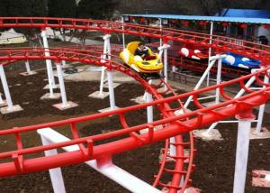 Quality 8KW Thrilling Crazy Mouse Ride CE Certification 1 Year Warranty For Family wholesale