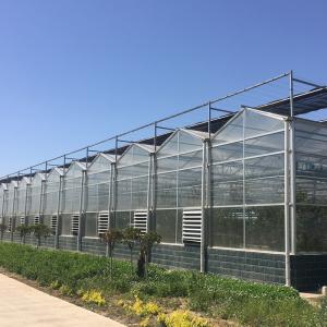Quality Instruction for Agricultural Glass Hydroponics System Commercial Greenhouses Frame wholesale