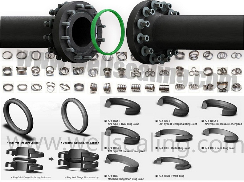 metal sealing ring gaskets R56
