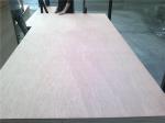 12mm Bintangor Plywood