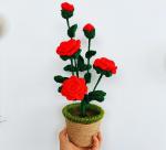 New Creative Luxury Handmade Crochet Knitting Plants Flowers Handicraft Home