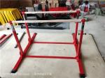 Customized Logo Availabled Mai Dong Gymnastic Training Bar for Gymnastic