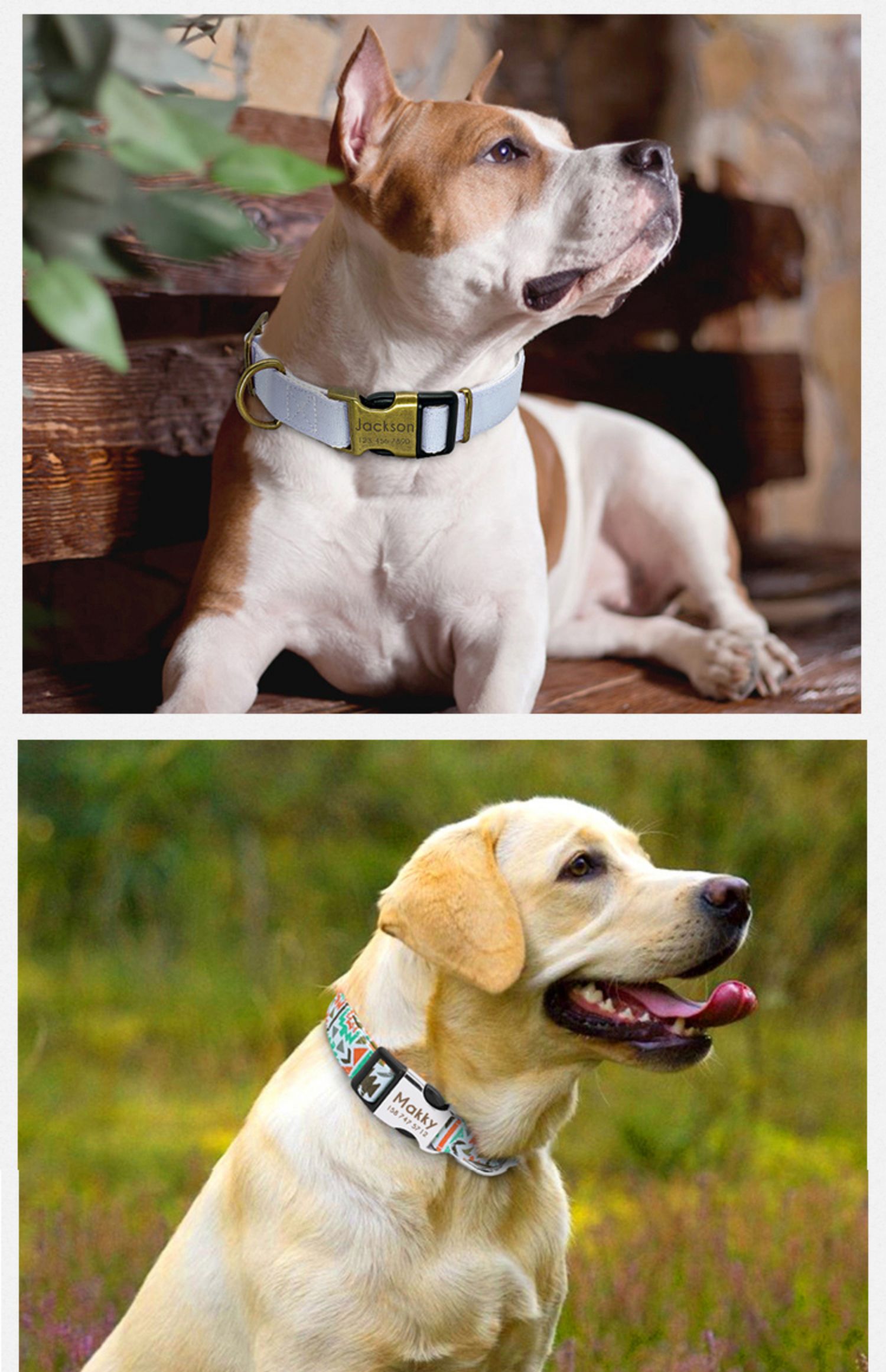 Durability Polyester Dog Collar