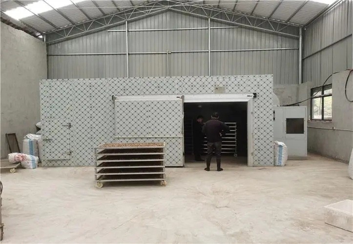 Mango Dragon Blueberry Apple Dryer Machine Potato Chips Drying Fruit