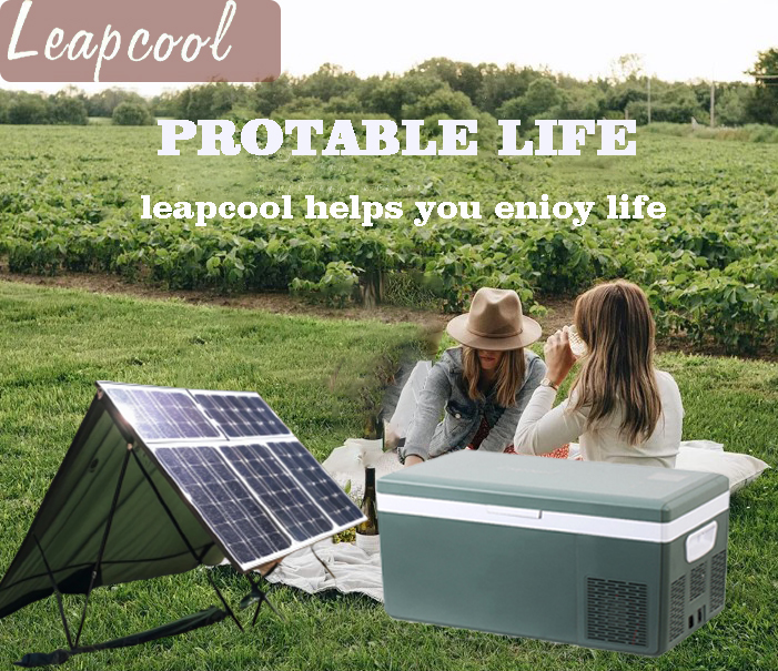 Compressor Truck Fridge AC/DC Portable Refrigerator Small Cooler For Outdoor Camping