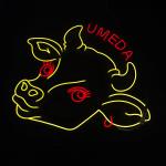 Custom neon sign men cave bedroom Dorm wall lighting deco
