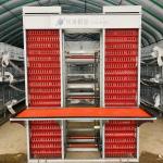 Q235 Steel Mire Battery Layer Chicken Cage Breeding Hens Cage