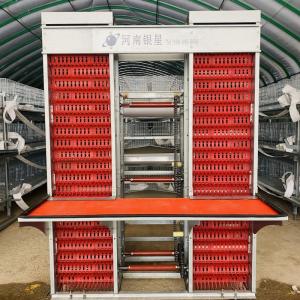 Quality H Type Automatic Poultry Chicken Layer Cage for for kenya Farms wholesale