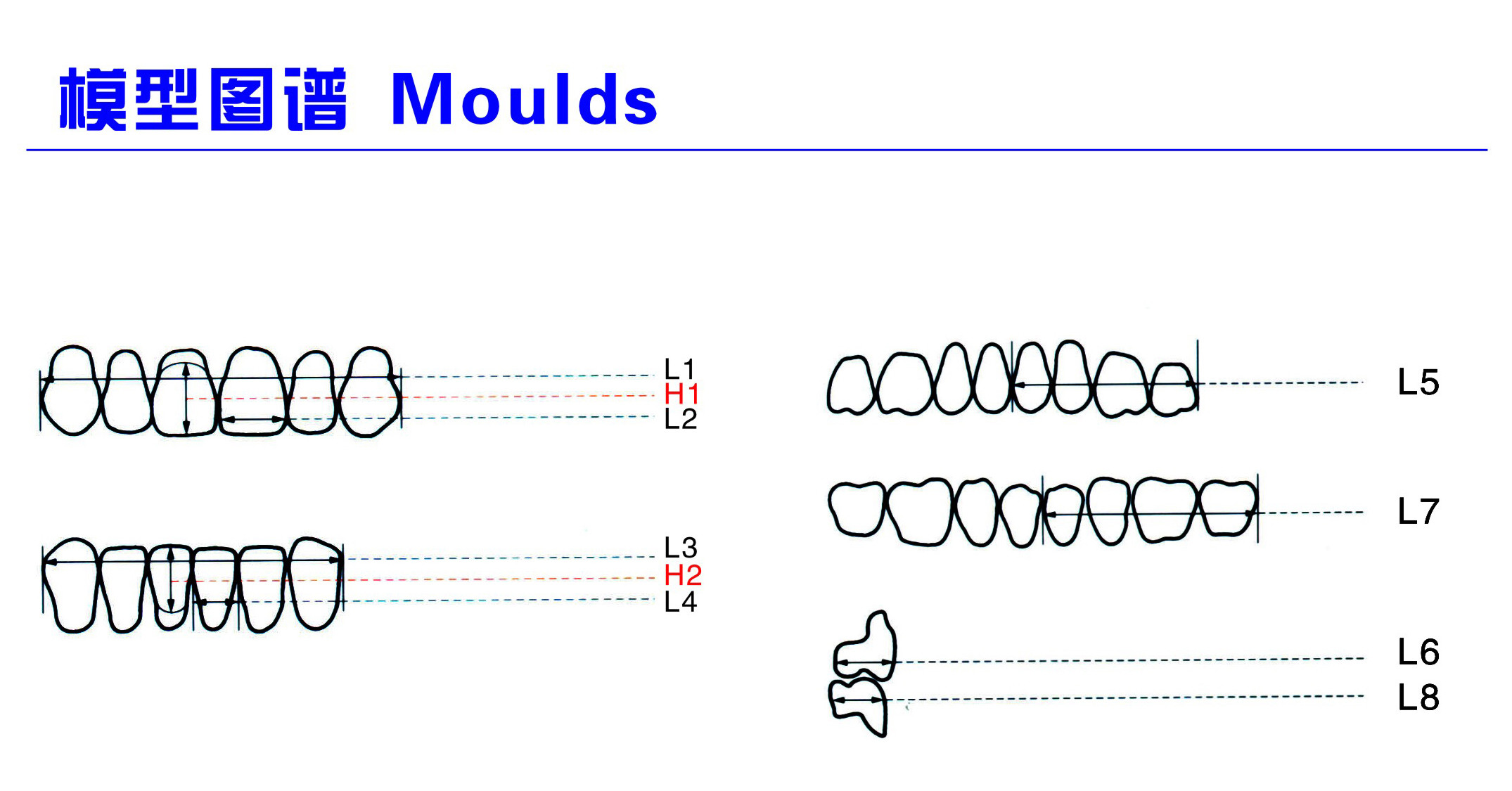 Acrylic Resin Denture Teeth Set Repair Surfaces 2 Layers Super Hard Synthetic Dental Teeth