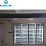 Anti Fog Function Glass Door Display Walk in Cooler for Convenience Store