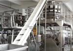 TOUPACK 20m/Min Chain Type Bucket Elevator Temperature Resistant