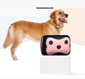 Quality GPS Pet Tracker Waterproof Real Time Mini tracker Collar wholesale