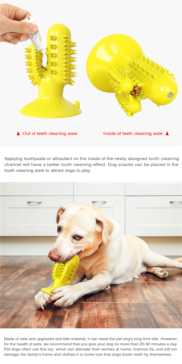 Durable Rubber Cactus Tough Interactive Squeaky Dog Toys For Aggressive Chewers