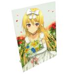Factory Oem Wholesale acrylic figure display Photo Frames