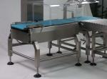 Adjustable Speed Carbon Steel/Stainless Steel Belt Conveyor for Sale