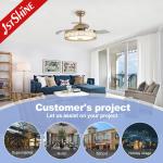 Energy Saving LED Ceiling Fan with Remote Control 3*PC Blades Modern European