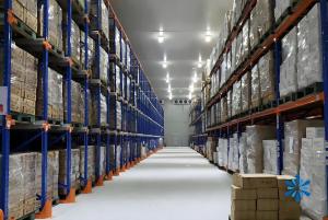 Quality Stainless Steel Freezer Room with Digital Temperature Control wholesale