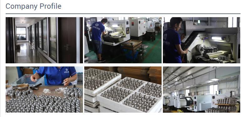 DN50 Stainless Steel 304 Metal Seated Swing Check Valve