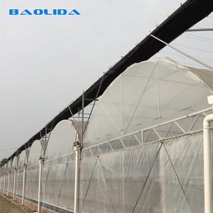 Quality 200 Micron Film Tomato Growing Plastic Tunnel Greenhouse Multi Span Greenhouse wholesale