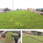 PP Material Decorative Garden Flower Pot for Manufactory Modular Green Roof