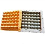 Plastic Film Packaging Method Paper Egg Tray Manufacturing Machine For 700 -