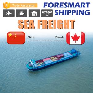 Quality 24h Online North American Freight Logistics Door To Door Sea Freight wholesale