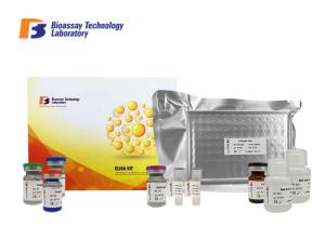 Quality Strong Sensitivity ABCG8 Human Elisa Sandwich Test 2 Hours Assay Length ISO9001 wholesale