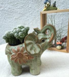 Quality Succulent Creative Elephant Animals Plant Flowerpots wholesale
