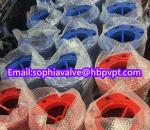 150lb ANSI stainless steel screen cast iron flanged foot valve