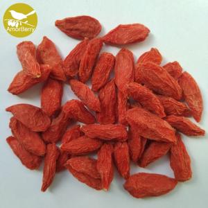 Quality Amorberry Bulk OEM Certificated Chinese Goji Berry From Manufacturer wholesale