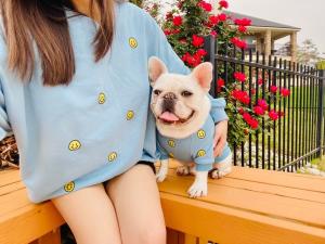 Quality Cat Dog Embroidery Matching Pet Owner Set 2XL - 4XL Happy Smiley Face wholesale