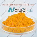 Low price 98% emodin rhubarb extract